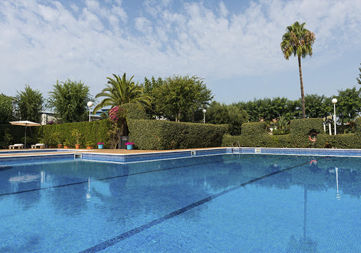 Pato Rojo en Punta Umbría